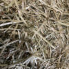 Equi Haylage - Image 5