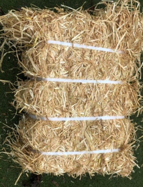Straw - Small Square Bales