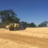 Straw - Small Square Bales - Image 2
