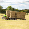 Hay - Image 4