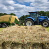 Hay - Image 8